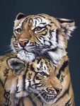 THE EDITIONS - DEMONTFORT FINE ART