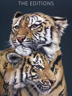 THE EDITIONS - DEMONTFORT FINE ART