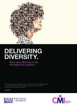 DELIVERING DIVERSITY - Race and ethnicity in the management pipeline - CMI