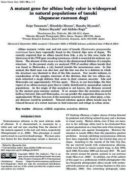 A mutant gene for albino body color is widespread in natural populations of tanuki (Japanese raccoon dog)