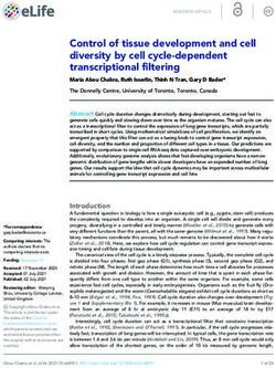 Control of tissue development and cell diversity by cell cycle-dependent transcriptional filtering