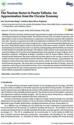 The Tourism Sector in Puerto Vallarta: An Approximation from the Circular Economy - MDPI