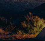 Explore 2018's most important IT trends - Prepare for a year of rapid changes in the technologies that enable business - Dimension Data