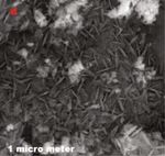 Simple One-Step Leaf Extract-Assisted Preparation of &alpha;-Fe2O3 Nanoparticles, Physicochemical Properties, and Its Sunlight-Driven Photocatalytic ...
