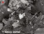 Simple One-Step Leaf Extract-Assisted Preparation of &alpha;-Fe2O3 Nanoparticles, Physicochemical Properties, and Its Sunlight-Driven Photocatalytic ...