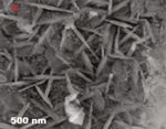 Simple One-Step Leaf Extract-Assisted Preparation of &alpha;-Fe2O3 Nanoparticles, Physicochemical Properties, and Its Sunlight-Driven Photocatalytic ...