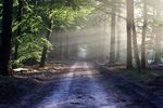 Small Business Insight - Hawsons Chartered ...