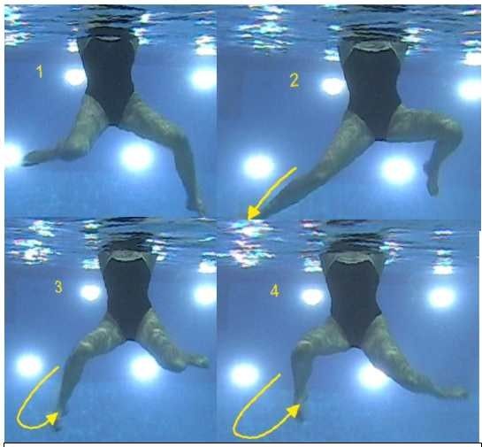 The Technique of the Eggbeater Kick