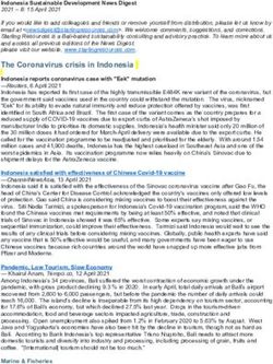 The Coronavirus crisis in Indonesia