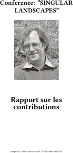 Rapport sur les contributions - LANDSCAPES" Conference: "SINGULAR
