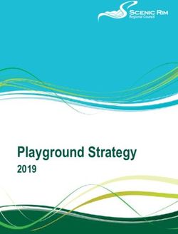 Playground Strategy 2019 - Scenic Rim Regional Council