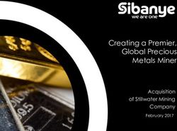 Creating a Premier, Global Precious Metals Miner - Acquisition of Stillwater Mining Company - The Vault