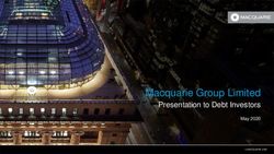 Macquarie Group Limited - Presentation to Debt Investors May 2020
