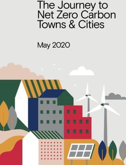 The Journey to Net Zero Carbon Towns & Cities - May 2020 - Exeter City ...