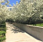 Awards and Financial Support - Schulich School of Business