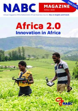 Africa 2.0 MAGAZINE - Netherlands-African Business Council