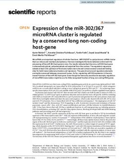 Expression of the miR 302/367 microRNA cluster is regulated by a conserved long non coding host gene