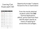 Leaving Certificate Established