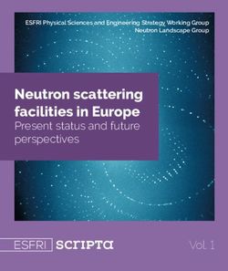 Neutron scattering facilities in Europe - Present status and future perspectives - ESFRI scrIPTa - ESFRI Roadmap