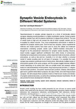 Synaptic Vesicle Endocytosis in Different Model Systems