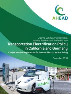 Transportation Electrification Policy in California and Germany - Joanna Gubman, Michael Pahle, Karoline Steinbacher & Dallas Burtraw