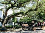 TATTLER TRAVEL THE - Huffman Travel