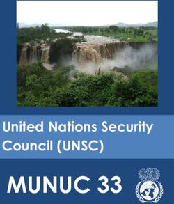 MUNUC 33 United Nations Security Council (UNSC)