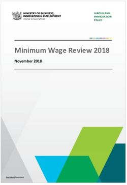 Minimum Wage Review 2018 - November 2018 LABOUR AND IMMIGRATION POLICY - MBIE