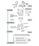 Awareness, Information-Seeking Behavior, and Information Preferences About Early Childhood Allergy Prevention Among Different Parent Groups: ...
