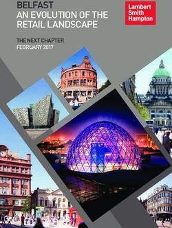 BELFAST AN EVOLUTION OF THE RETAIL LANDSCAPE - THE NEXT CHAPTER FEBRUARY 2017 - Northern Ireland Chamber ...