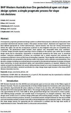 BHP Western Australia Iron Ore geotechnical open cut slope design system: a simple pragmatic process for slope risk decisions