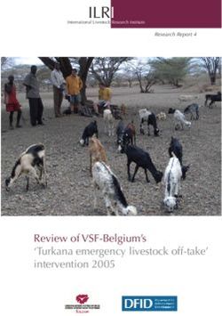 ILRI - Review of VSF-Belgium's 'Turkana emergency livestock off-take' intervention 2005