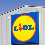 Ribeye beef sold at Lidl in The Hague linked to Brazilian deforestation