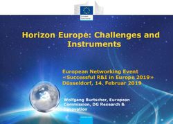 Horizon Europe: Challenges and Instruments - European Networking Event "Successful R&I in Europe 2019" Düsseldorf, 14. Februar 2019 - Horizon 2020