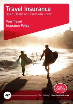 Travel Insurance Basic, Classic and Premium Cover - Your Travel Insurance Policy