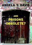 Books that address Incarceration and Social Justice