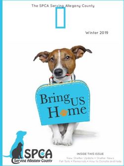 Paw Prints Winter 2019 Inside This Issue Spca Serving Allegany County