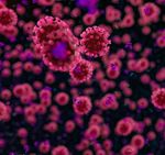 Looking ahead to 2021: Impacts of the U.S. election for the life sciences and health care industry - Life Sciences and Health Care Horizons