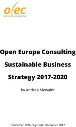 Open Europe Consulting Sustainable Business Strategy 2017-2020 - by Andrea Mewaldt