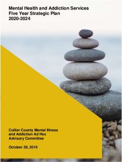 Mental Health and Addiction Services Five Year Strategic Plan 2020-2024 - Collier County Mental Illness and Addiction Ad Hoc Advisory Committee ...