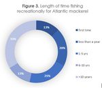 WHAT'S HAPPENING AT THE WHARF? - Ecology ...