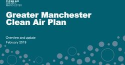 Greater Manchester Clean Air Plan - Overview and update February 2019