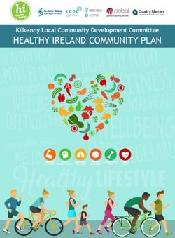 HEALTHY IRELAND COMMUNITY PLAN - KILKENNY LOCAL COMMUNITY DEVELOPMENT COMMITTEE - HSE