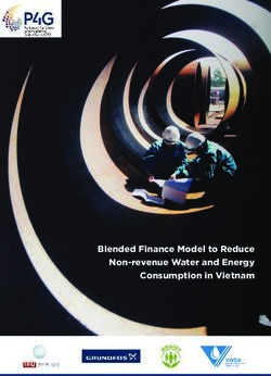 Blended Finance Model to Reduce Non-revenue Water and Energy Consumption in Vietnam - P4G