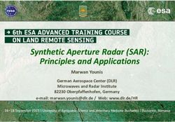 Synthetic Aperture Radar (SAR): Principles and Applications - Marwan Younis German Aerospace Center (DLR) Microwaves and Radar Institute - eo ...