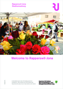 Welcome to Rapperswil-Jona - Rapperswil-Jona Stadtverwaltung - Stadt Rapperswil-Jona
