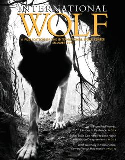 From Red Wolves, Lessons in Resilience PAG E 4 Softer Skills Can Help Mediate Harsh Conservation Disagreements PAG E 8 Wolf Watching in ...