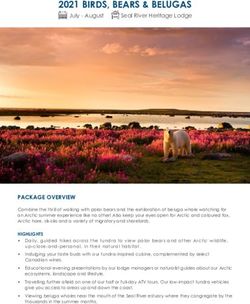 2021 BIRDS, BEARS & BELUGAS - JULY-AUGUST SEALRIVERHERITAGELODGE - CHURCHILL WILD