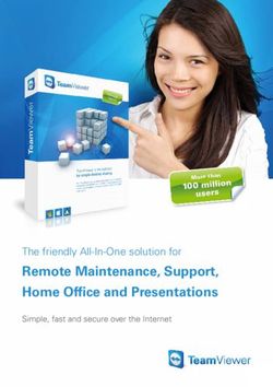 Remote Maintenance, Support, Home Offi ce and Presentations - The friendly All-In-One solution for
