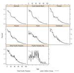 The Differences Within, Diversity in Age Structure Between and Within Ethnic Groups